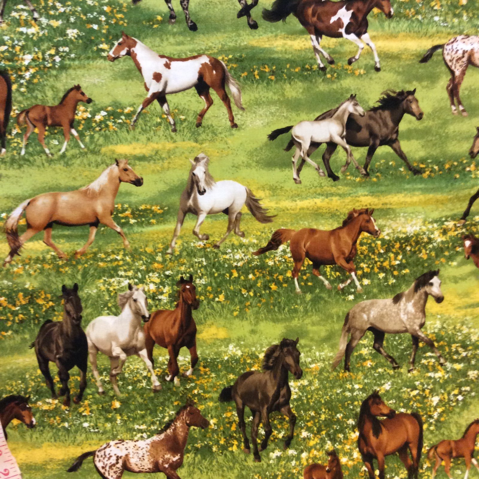 Horses Galloping Equestrian Palomino Walker Appaloosa Cotton