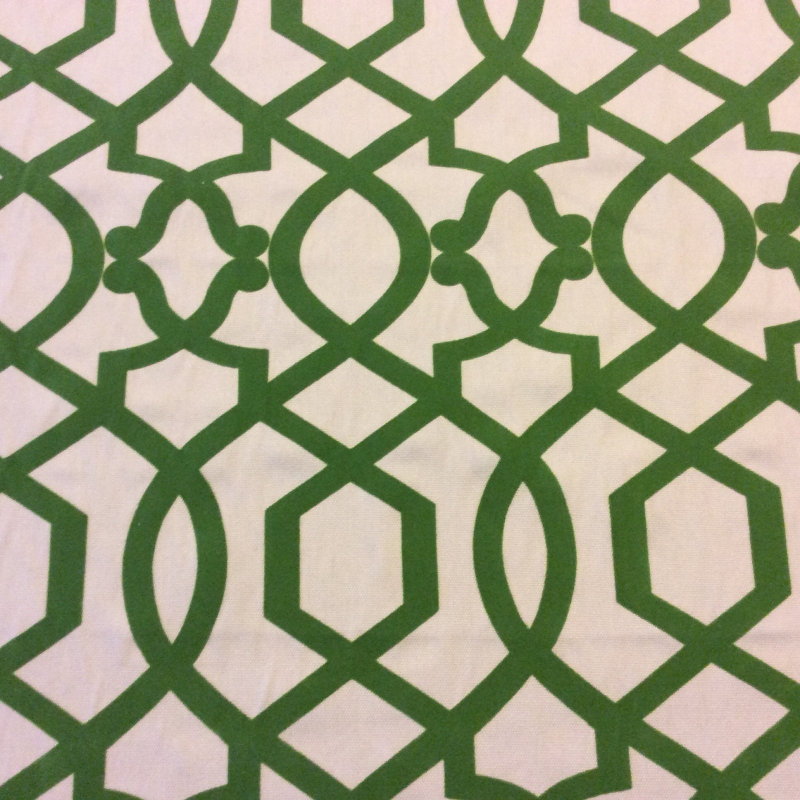 NEW! OR125 Flocked Emerald Lattice Cut Velvet By the Yard Home Decor Fabric