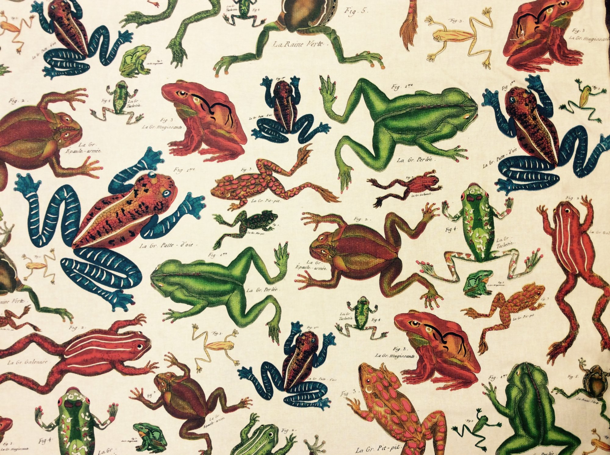 Kelly O' Neal Design Legacy Hand Blocked Illustrated Frogs Drapery