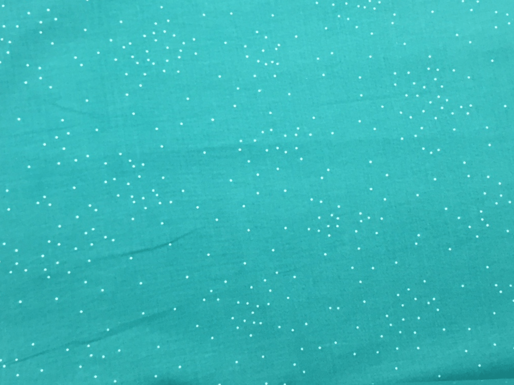 BACKORDERED Cotton + Steel Basics Alexa Turquoise Cotton Quilt Fabric