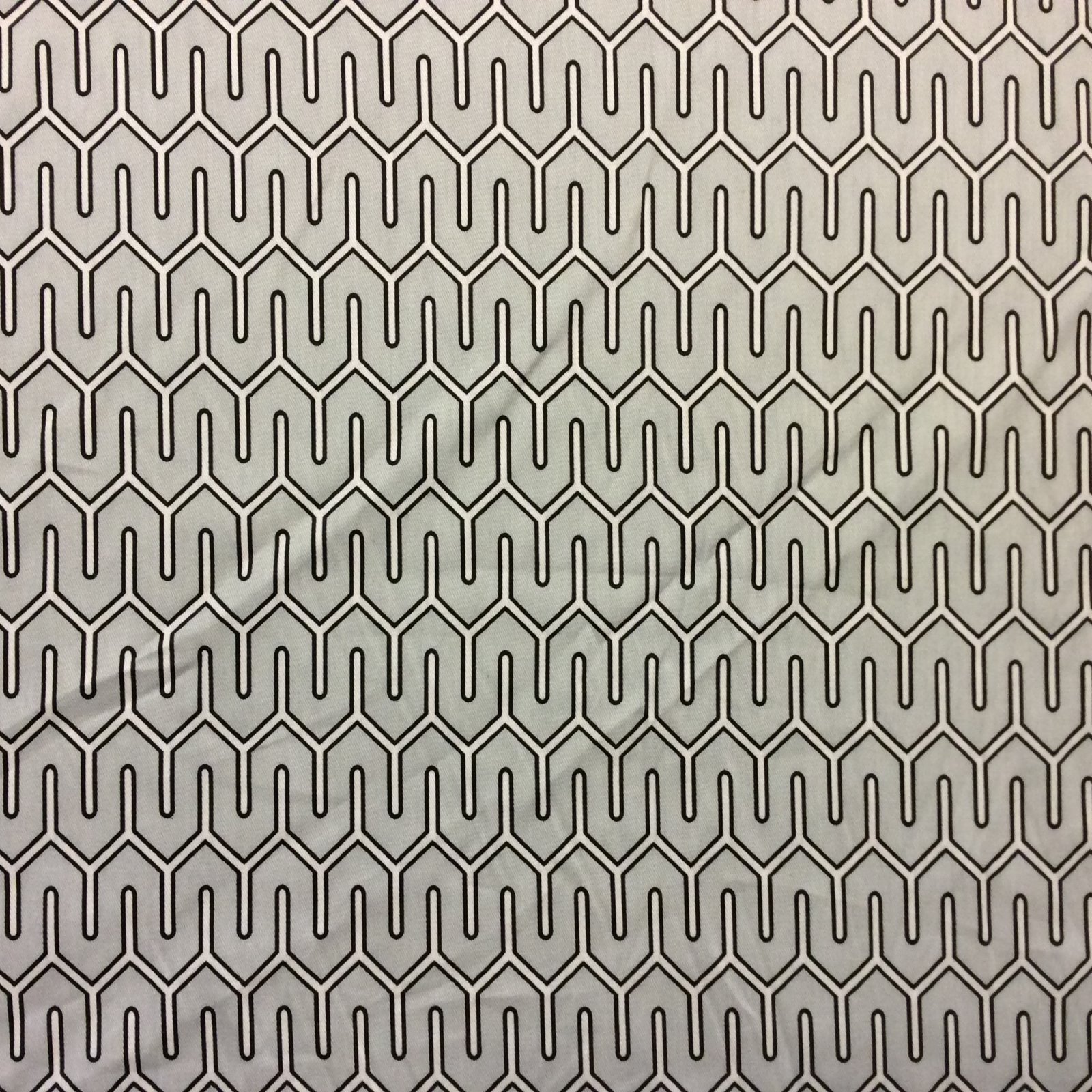Dwell Studio for Robert Allen Maze Work Cotton Twill Geometric Lattice