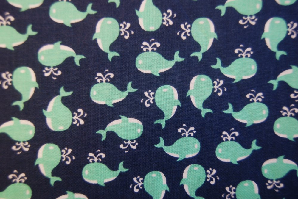 Navy Blue And Mint Green ubicaciondepersonas.cdmx.gob.mx