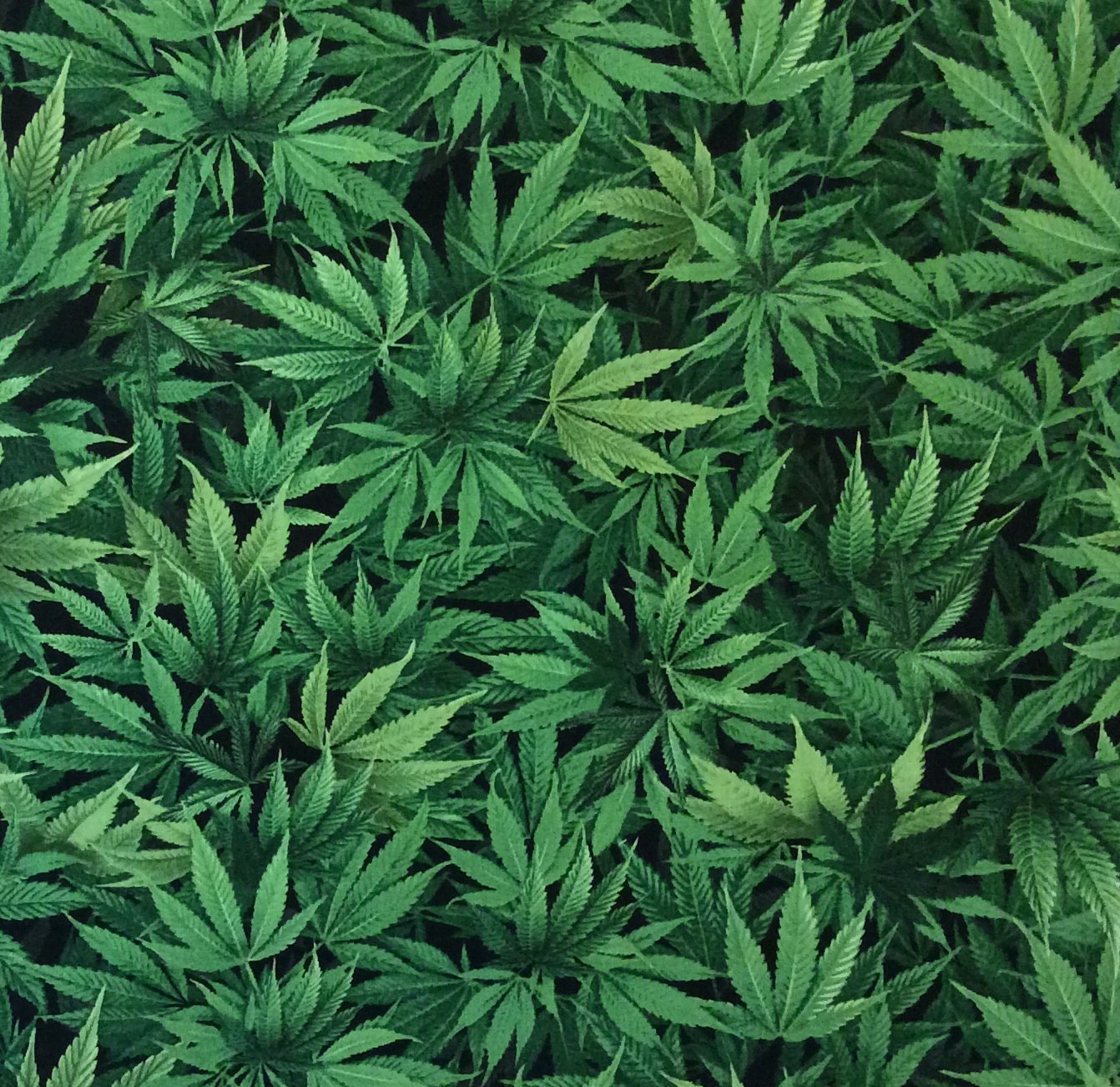 Herb Weed Marijuana Pot Feel Good Nature Relax Plants Colorado Quilting