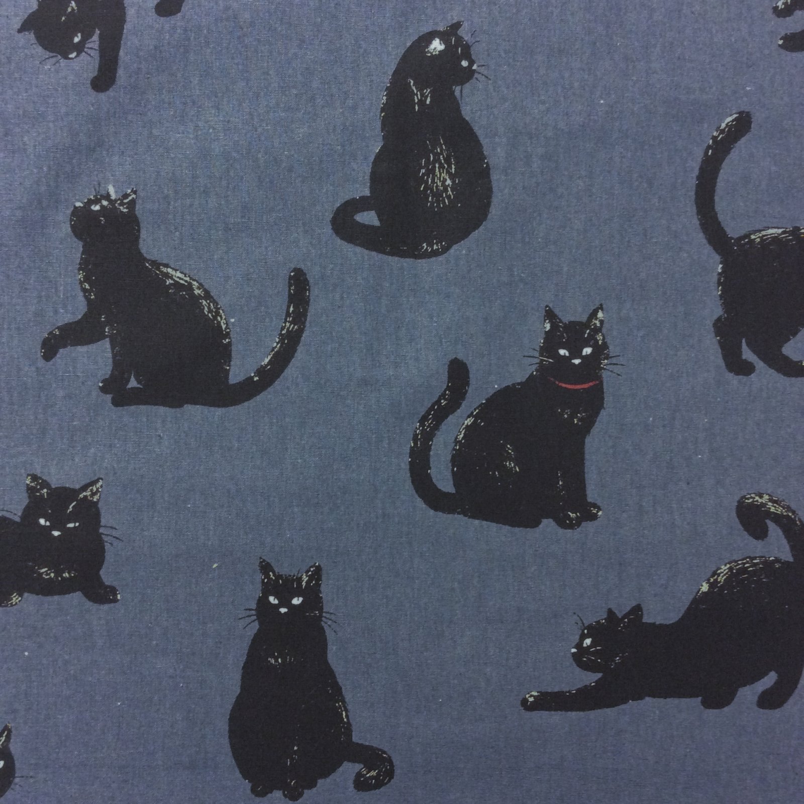 QH07 Black Kitty Cats Kittens GrayBlue Canvas Weight Cotton Linen