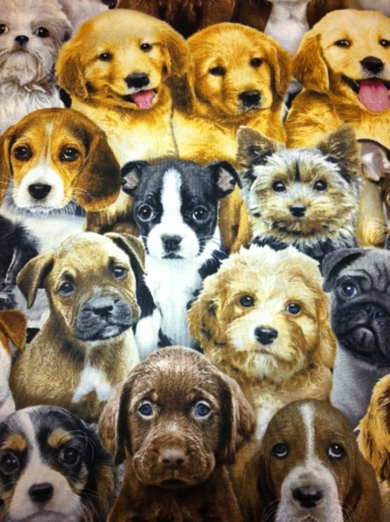 Dog Puppy Photo Collage Beagle Pug Retriever and more Cotton Fabric