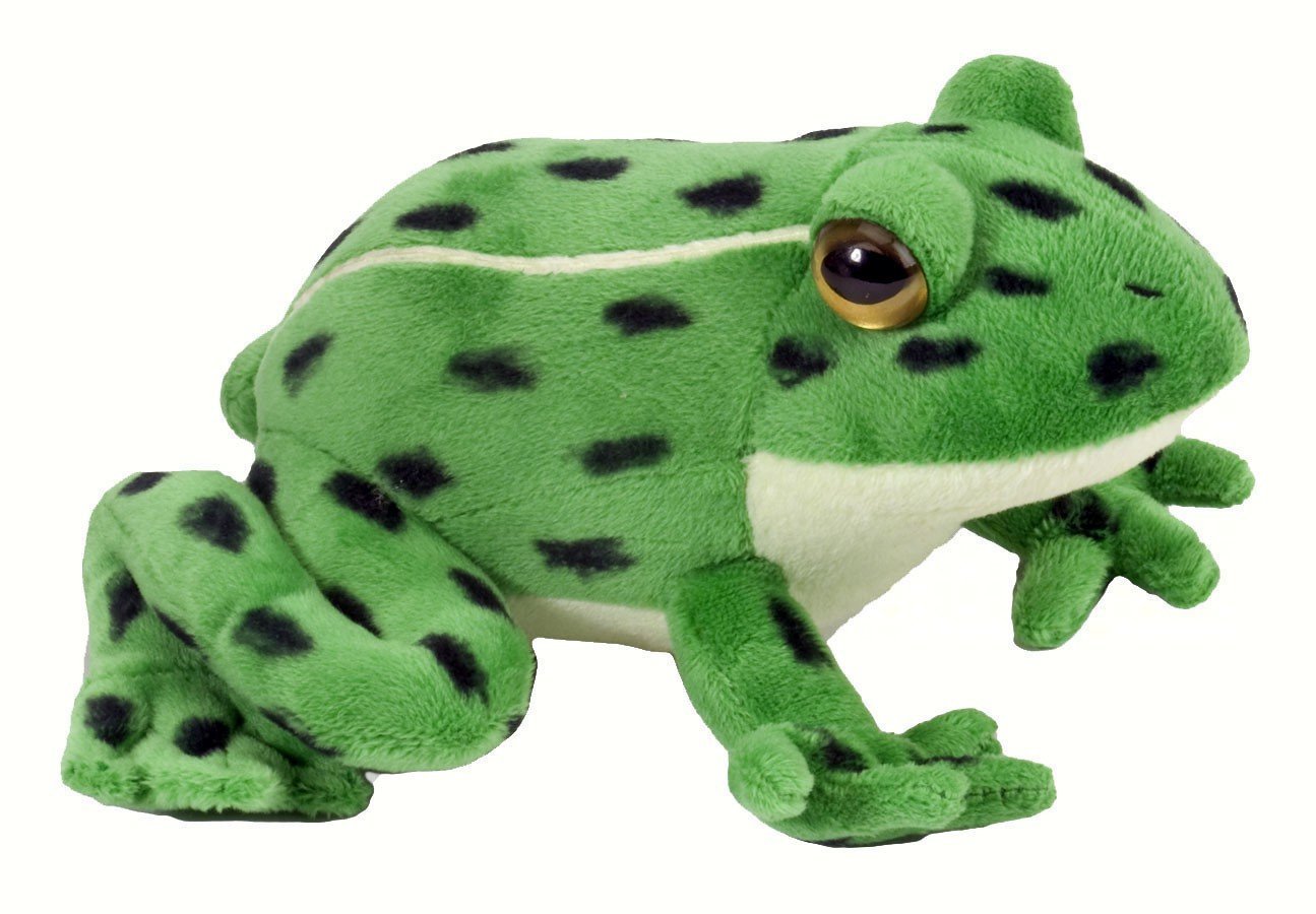Wild Republic CK Frogwatch Plush 092389135985