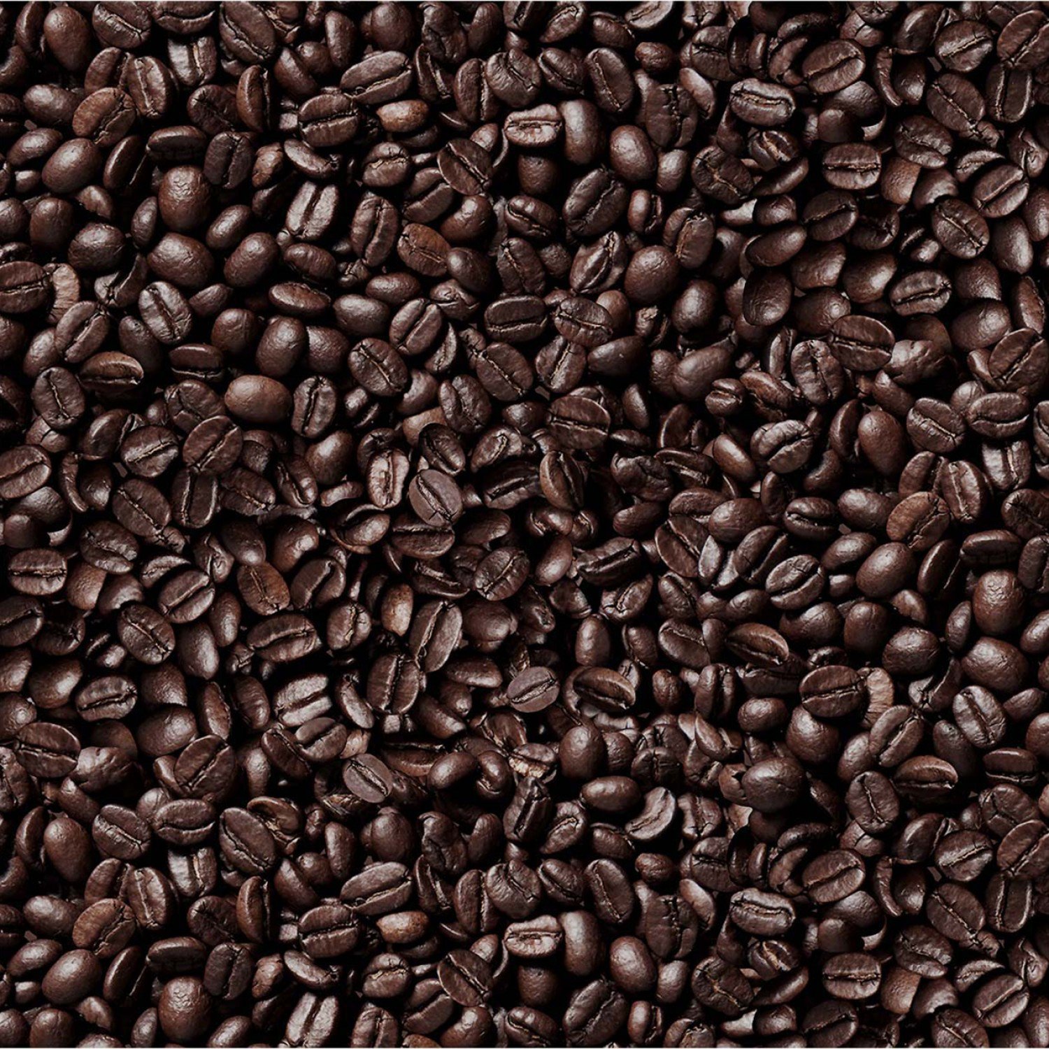 Elizabeth's Studio Food Festival 643 Espresso Coffee Beans 10.99/yd