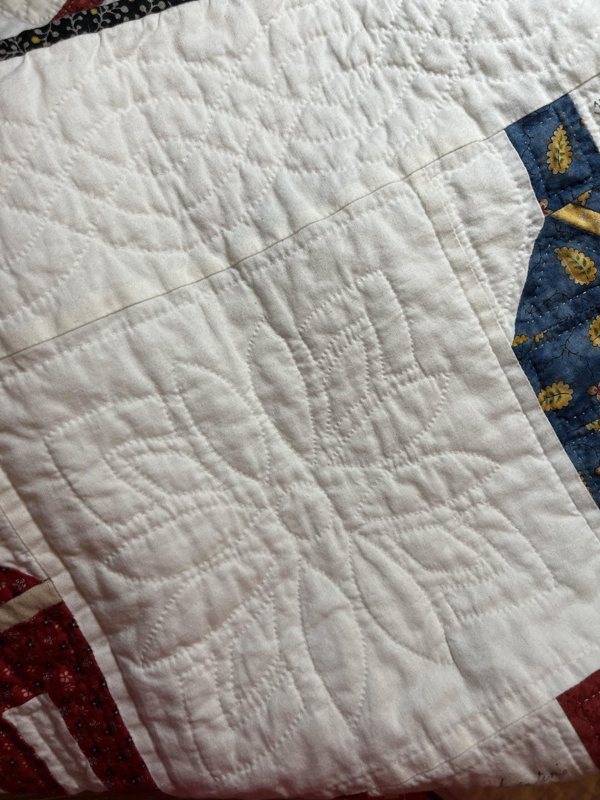 Kay's Quilt Shop, Fort Myers Florida. Southwest Florida's newest quilt