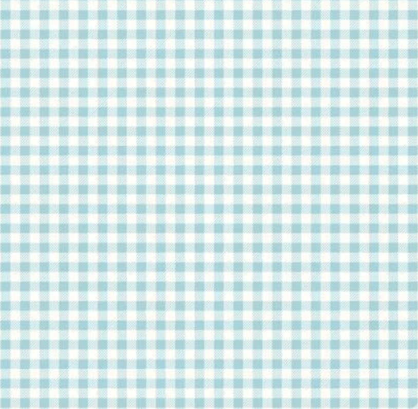 Bake 2 Gingham Aqua by Riley Blake C6988RAQUA