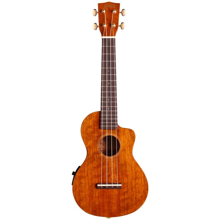 Ukulele