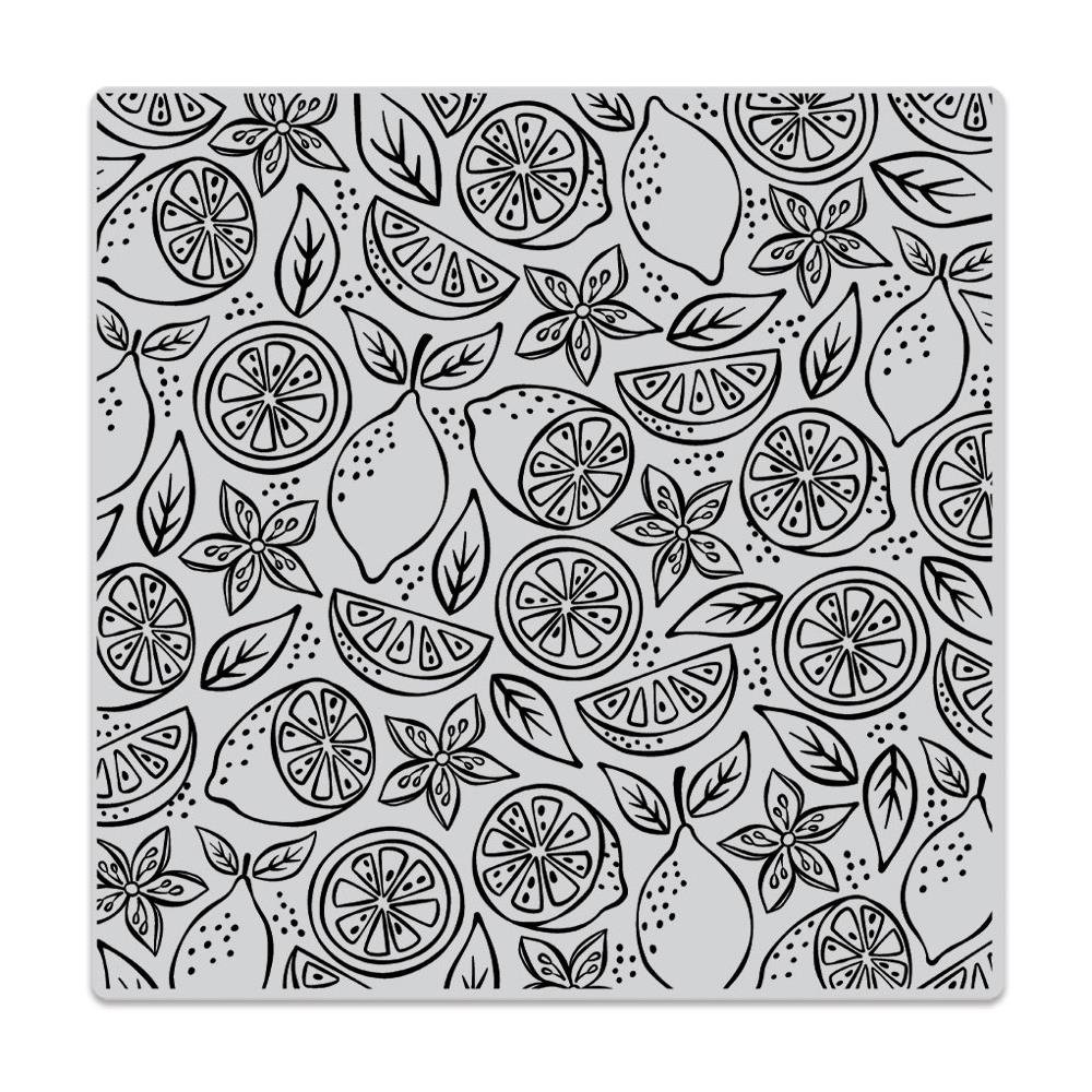 Hero Arts Fresh Citrus Bold Prints Background Cling Stamp