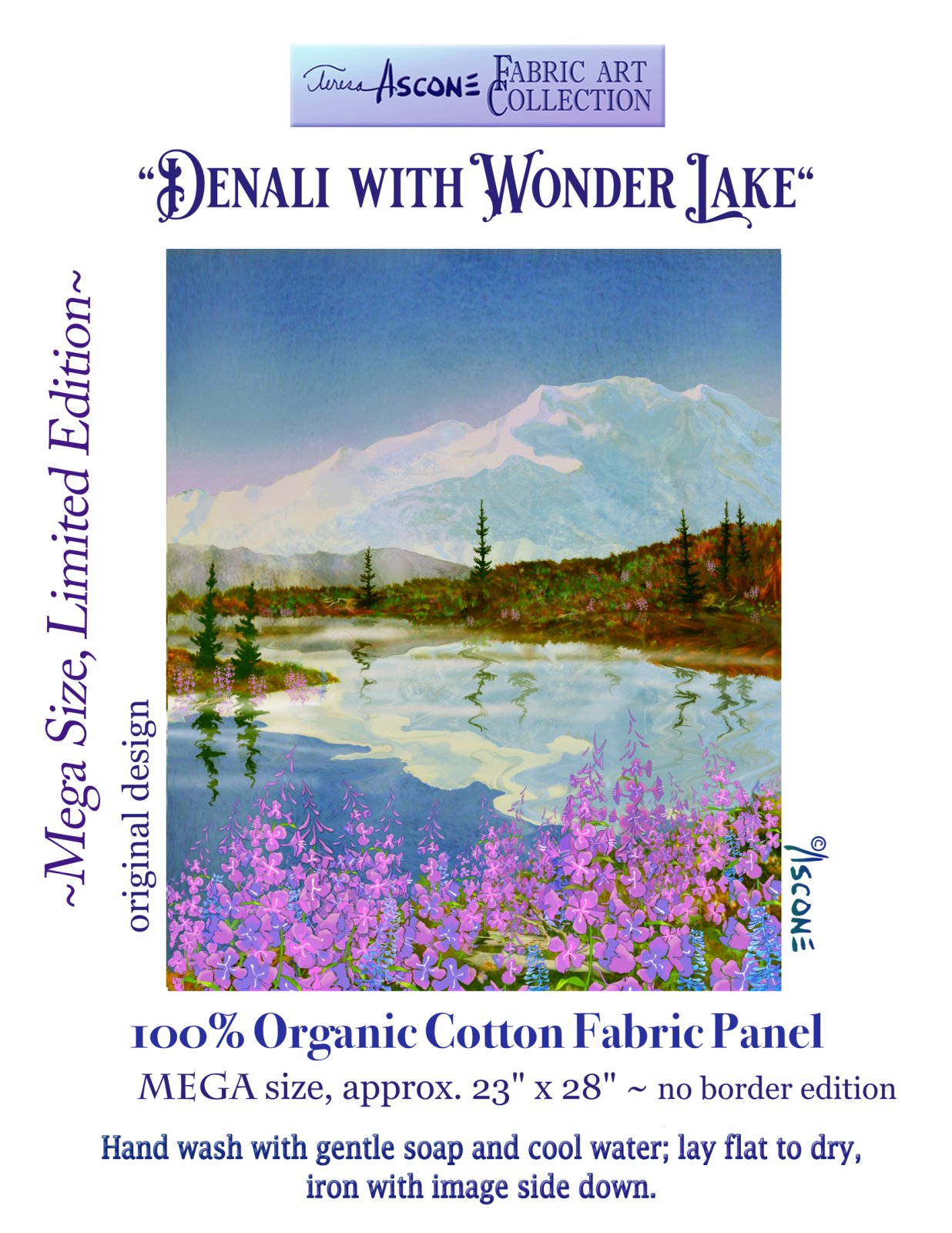 Denali with Wonder Lake Panel