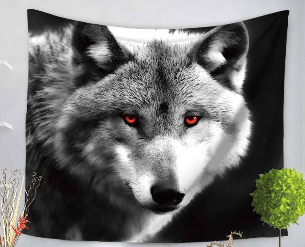 Black & White wolf