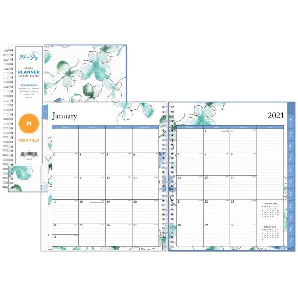 2021 Blue Sky Planner, Monthly, 8x10 699931903582