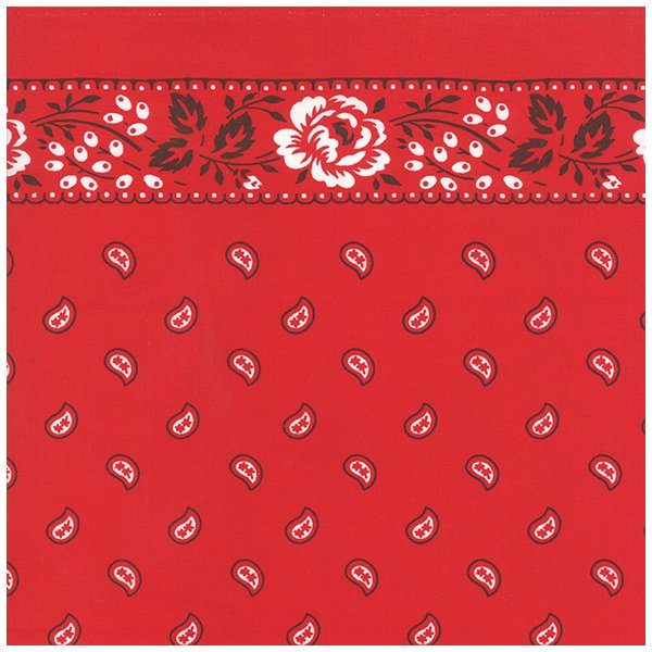 Trend Red Bandana Bathroom Set Article