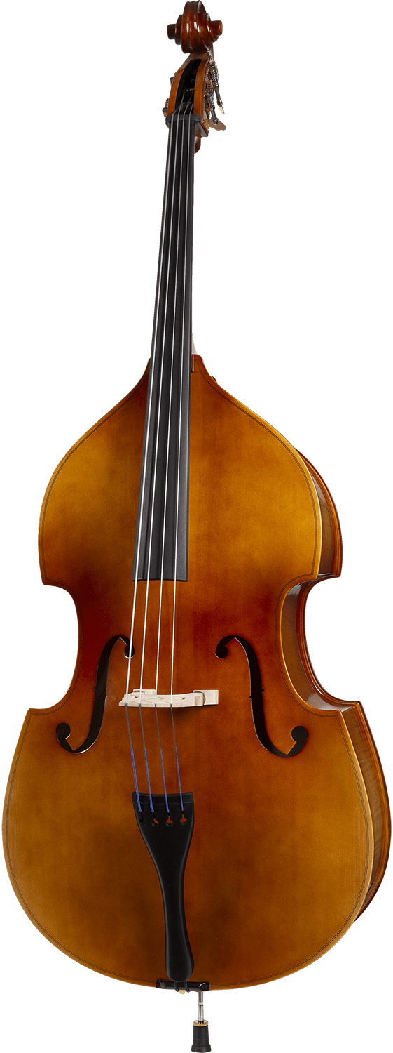Core Academy A41 Double Bass 843608008326