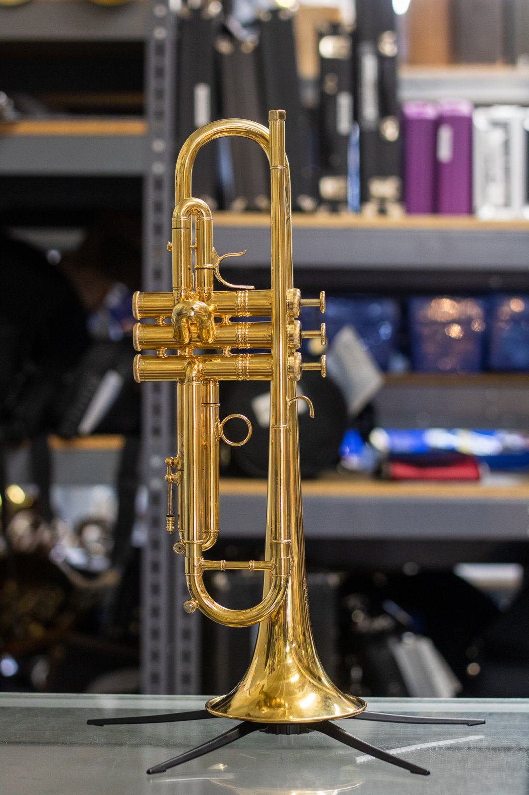 Flip Oakes Wild Thing Bb Trumpet Gold Plate