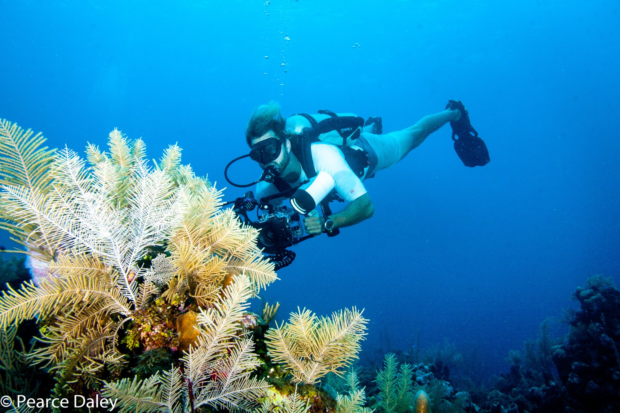 PADI Digital Underwater Photographer