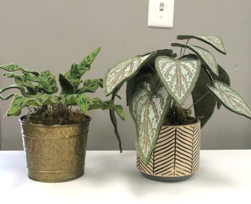 Freestanding House Plants