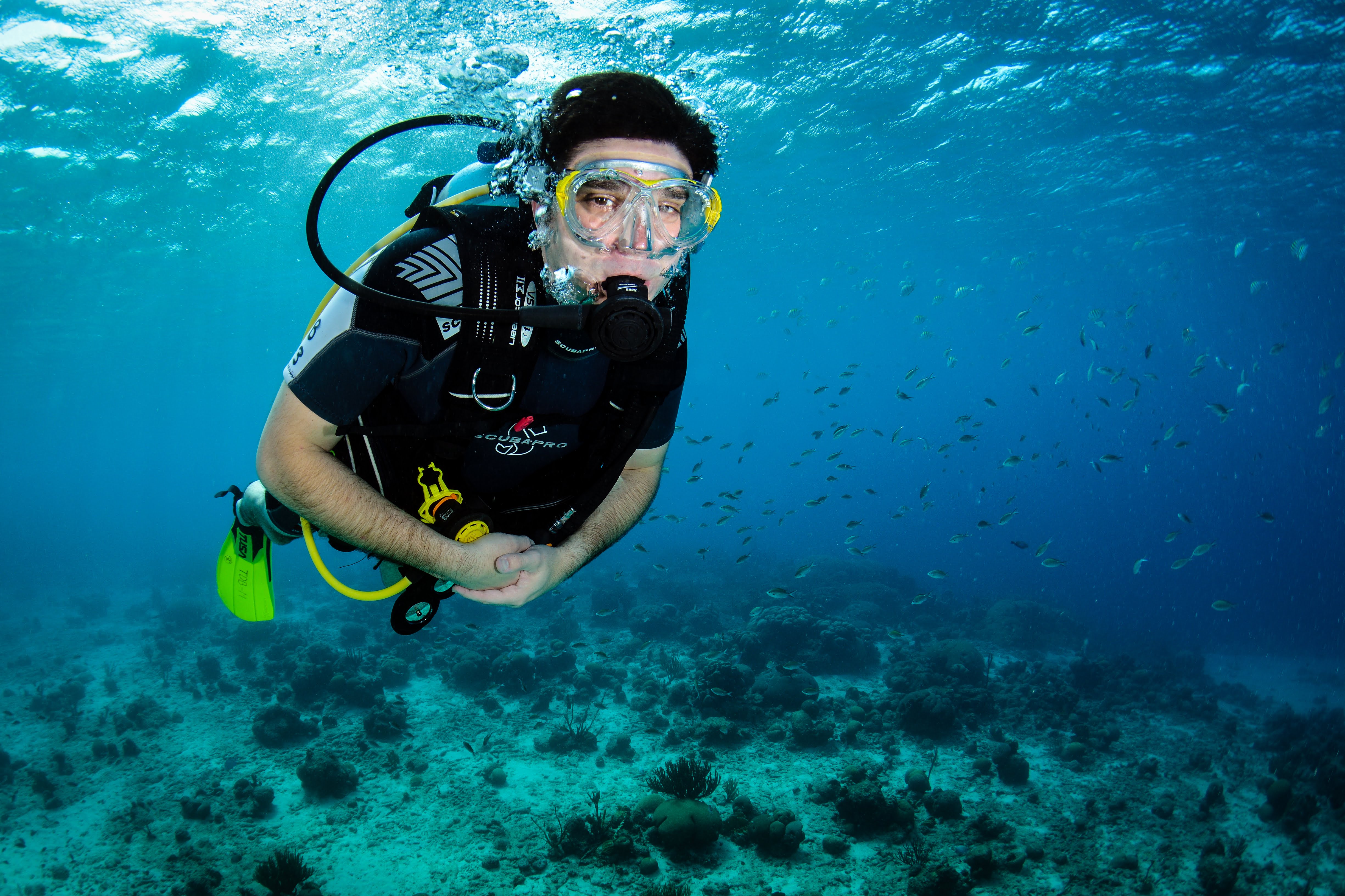 Purveyors Of Adventure Outer Reef Scuba Indianapolis, IN