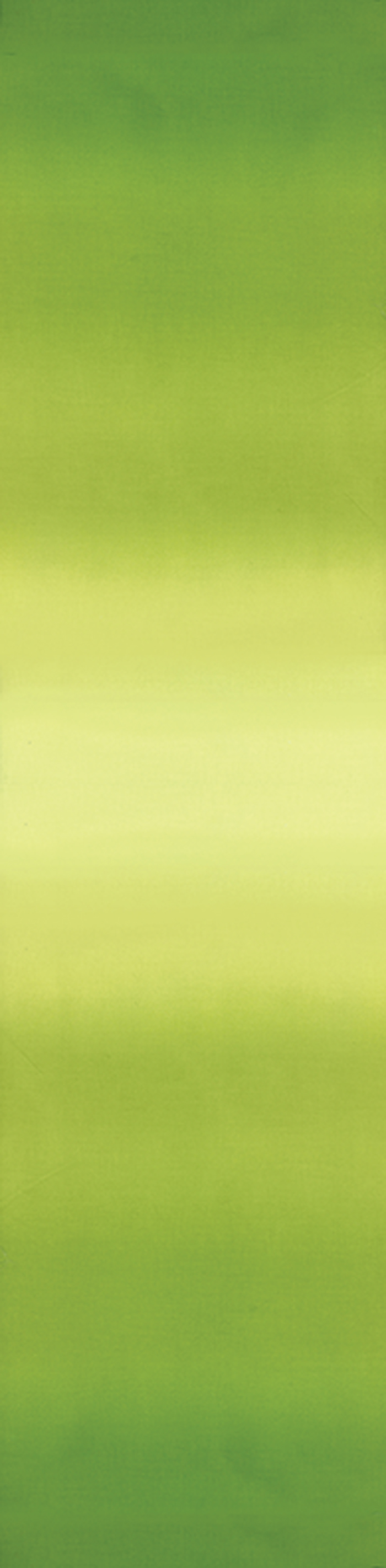 Ombre Lime Green 1080018 752106989412