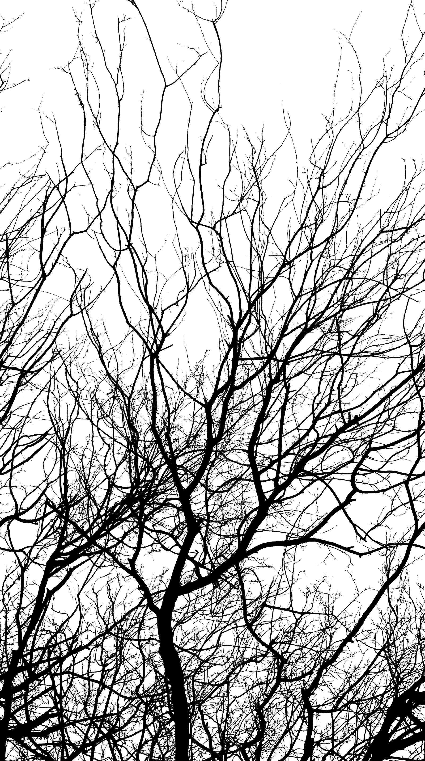 SILHOUETTE BLACK WHITE 778148275207