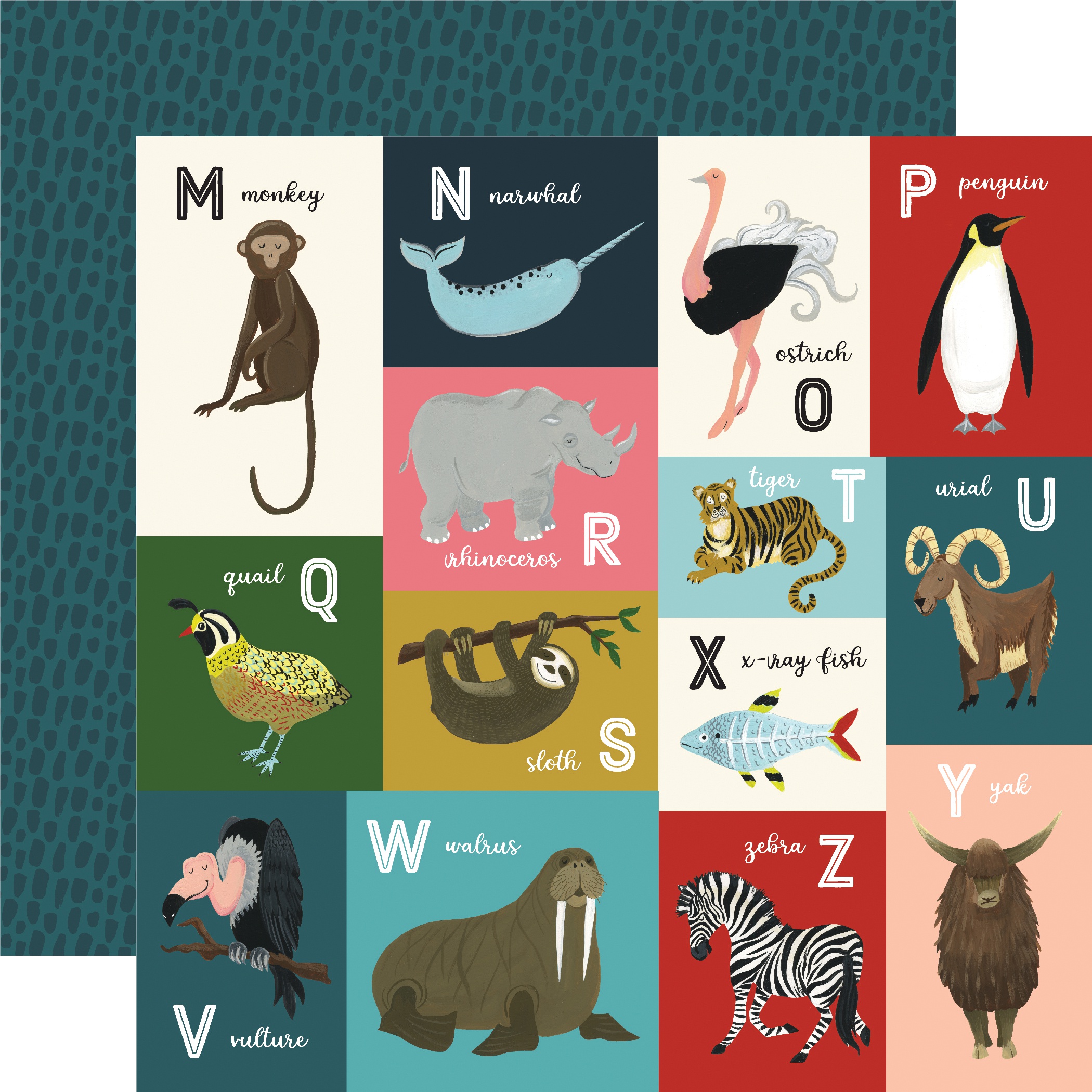 Animal Safari DoubleSided Cardstock 12X12Animal Alphabet Cards MZ
