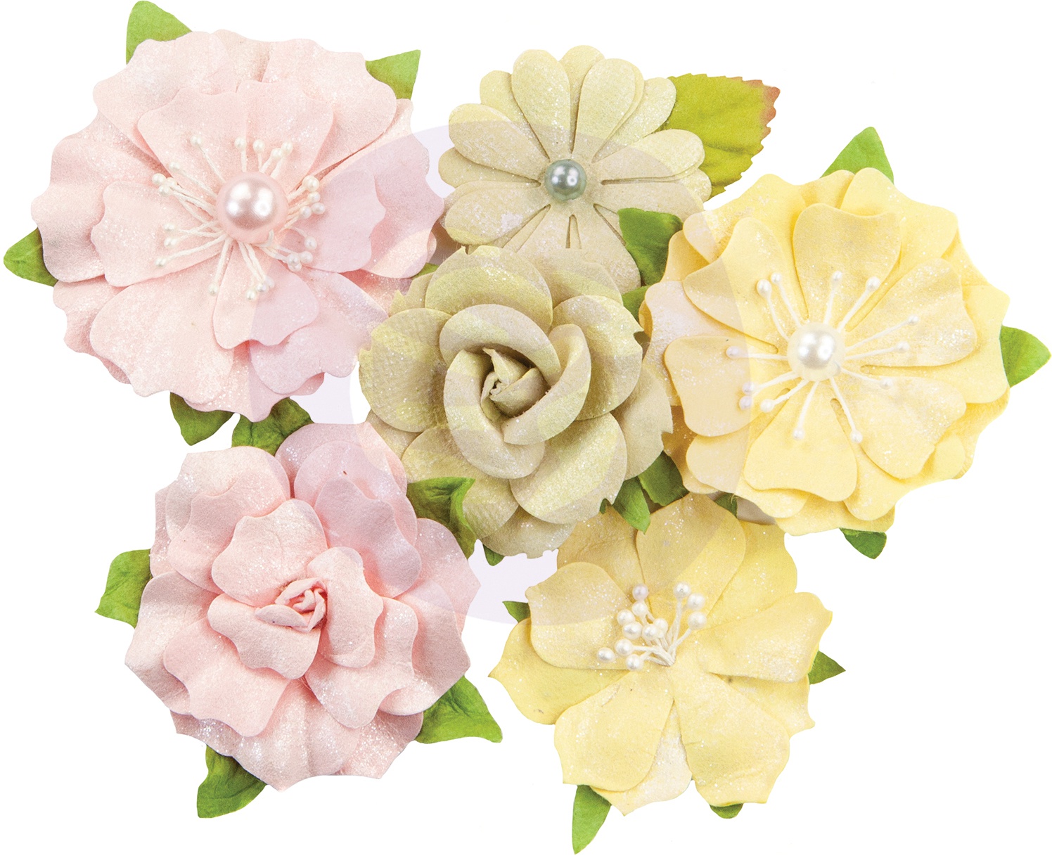 Gold Coast Flowers 655350639853