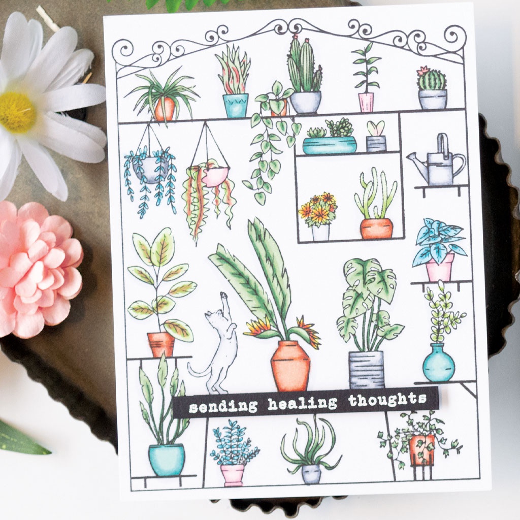 Hero Arts Cling Stamps 6X6PeekABoo Greenhouse 085700924863