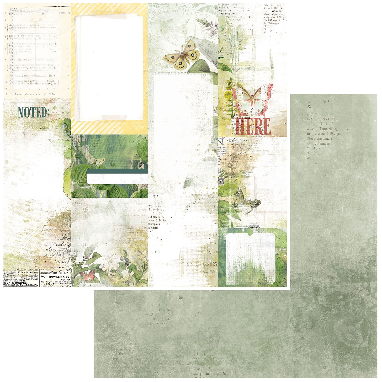 Vintage Artistry Naturalist Journal Cards Paper 752505135311