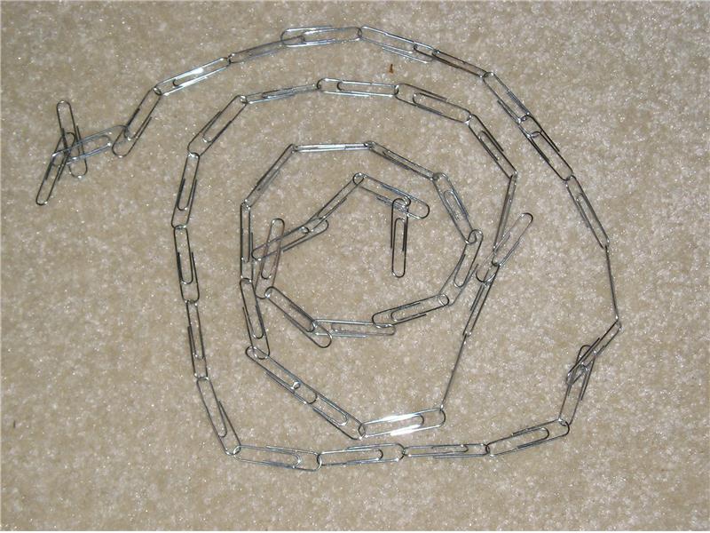 Longest Paper Clip Chain World Record Mikey Dog