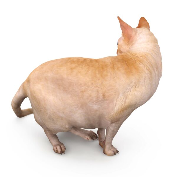 Sphinx standing 3d model by Renderbot LLC