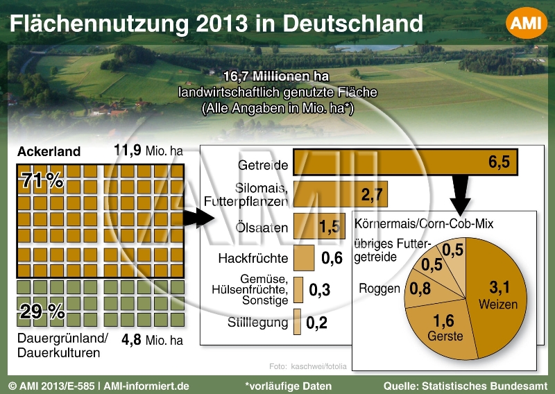 6.3 Pflanzliche Erzeugung