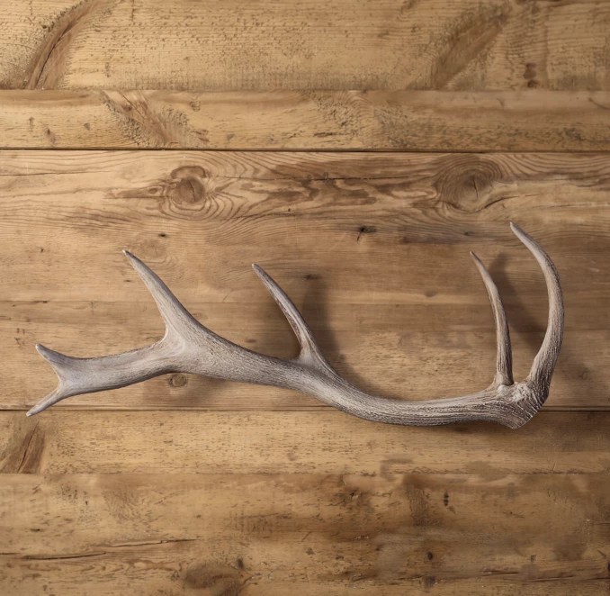 Deer Antler Cast in Resin