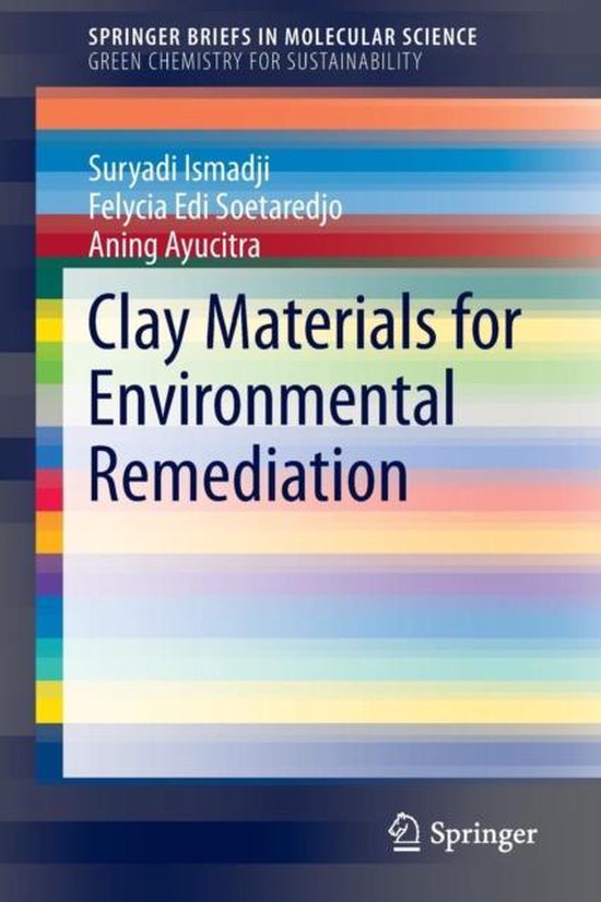 Clay Materials for Environmental Remediation 9783319167114 Suryadi