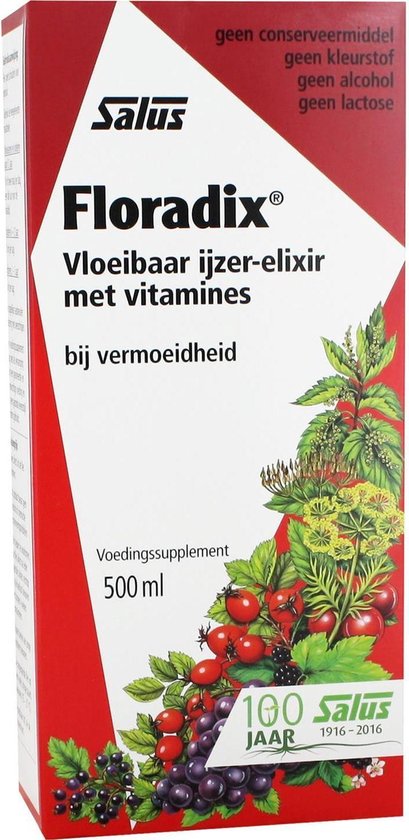 Salus Floradix Ijzer-Elixir – Bij Vermoeidheid – Voedingssupplement Met Ijzer En... | Bol.com