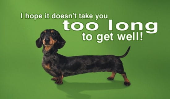 Free Get Well eCard - eMail Free Personalized Get Well Cards Online