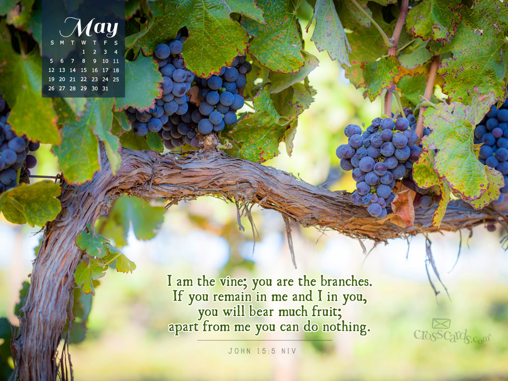 May 2013 John 155 NIV Desktop Calendar Free Monthly