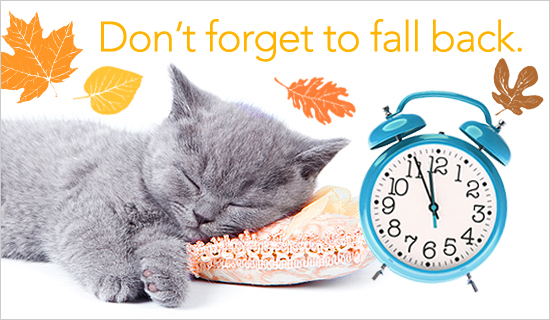 Fall Back 2023 Images Free