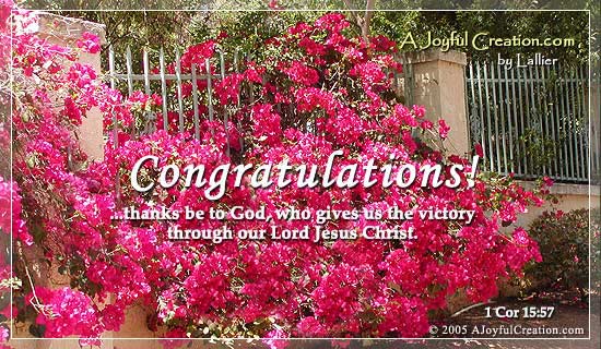 Congratulations eCard Free A Joyful Creation Greeting Cards Online
