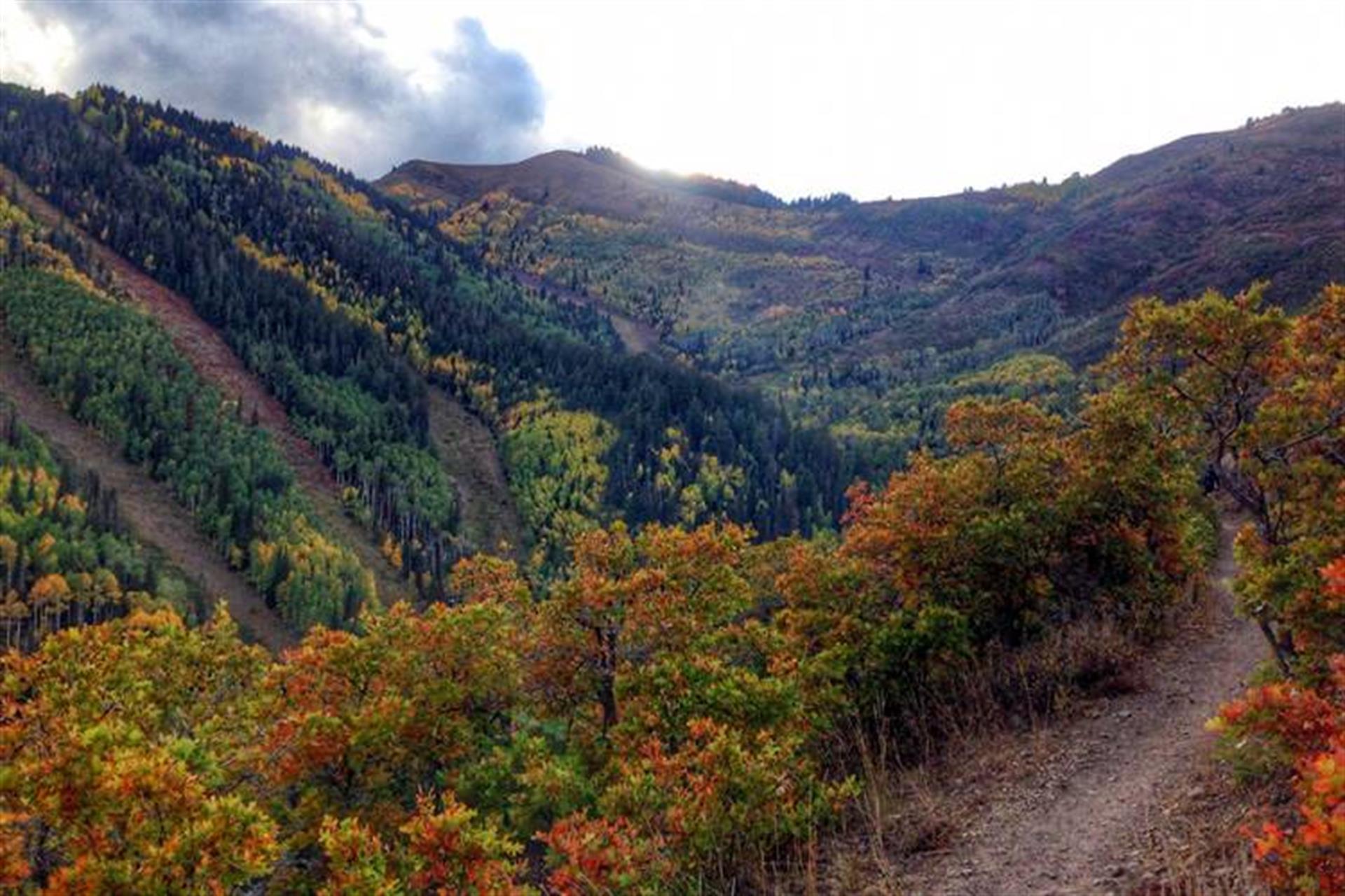 Hiking in Park City Summer Activities and Things to Do Outdoor Activities Identity Properties