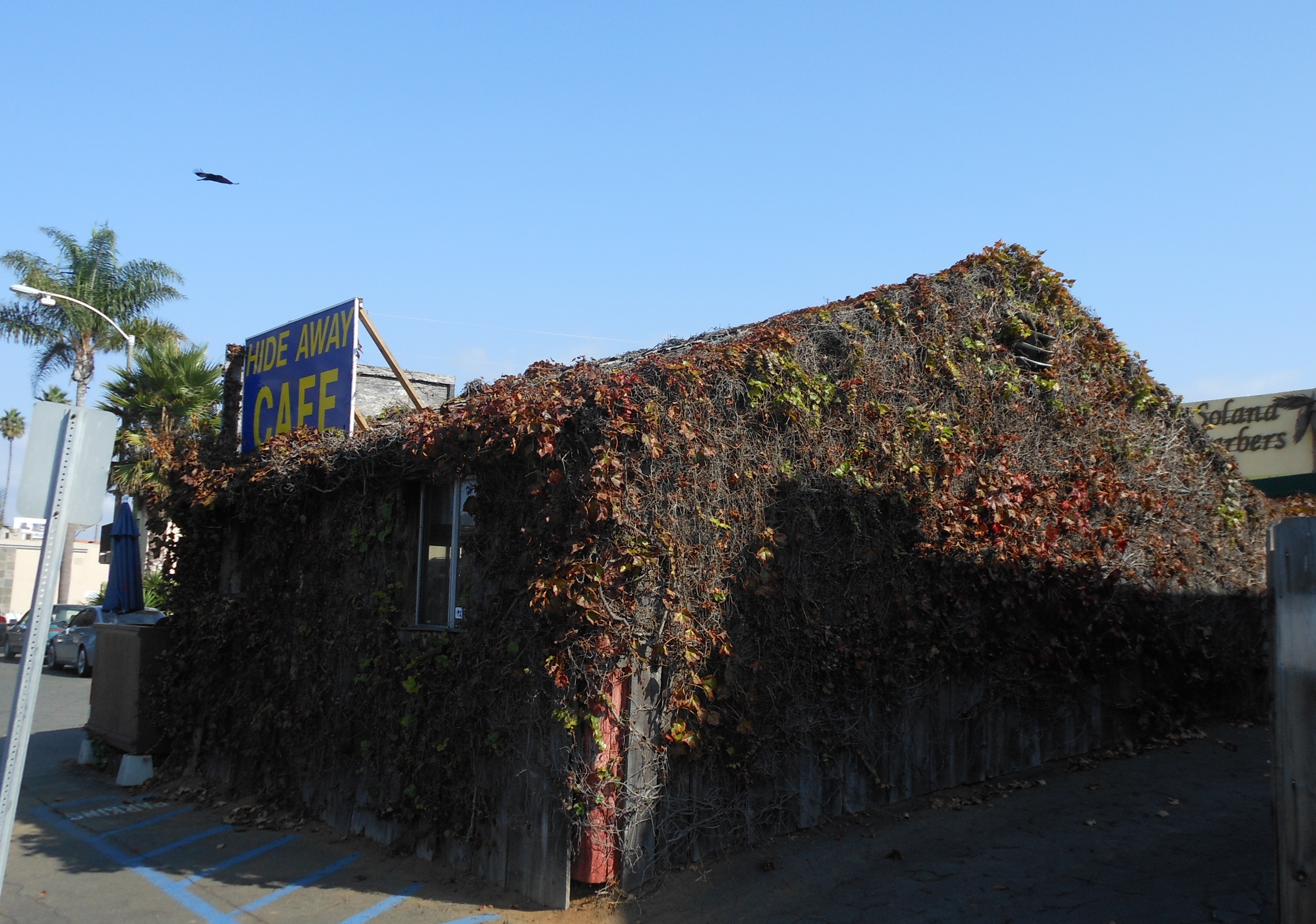 Breakfast, Old Solana Beach Style San Diego Reader