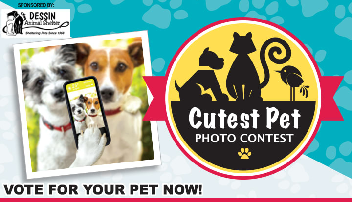 Dessin Animal Sheter 2019 Pets Of Nepa Contests and Promotions