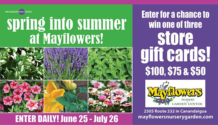 Spring Into Summer With Mayflowers Contests and Promotions MPNnow