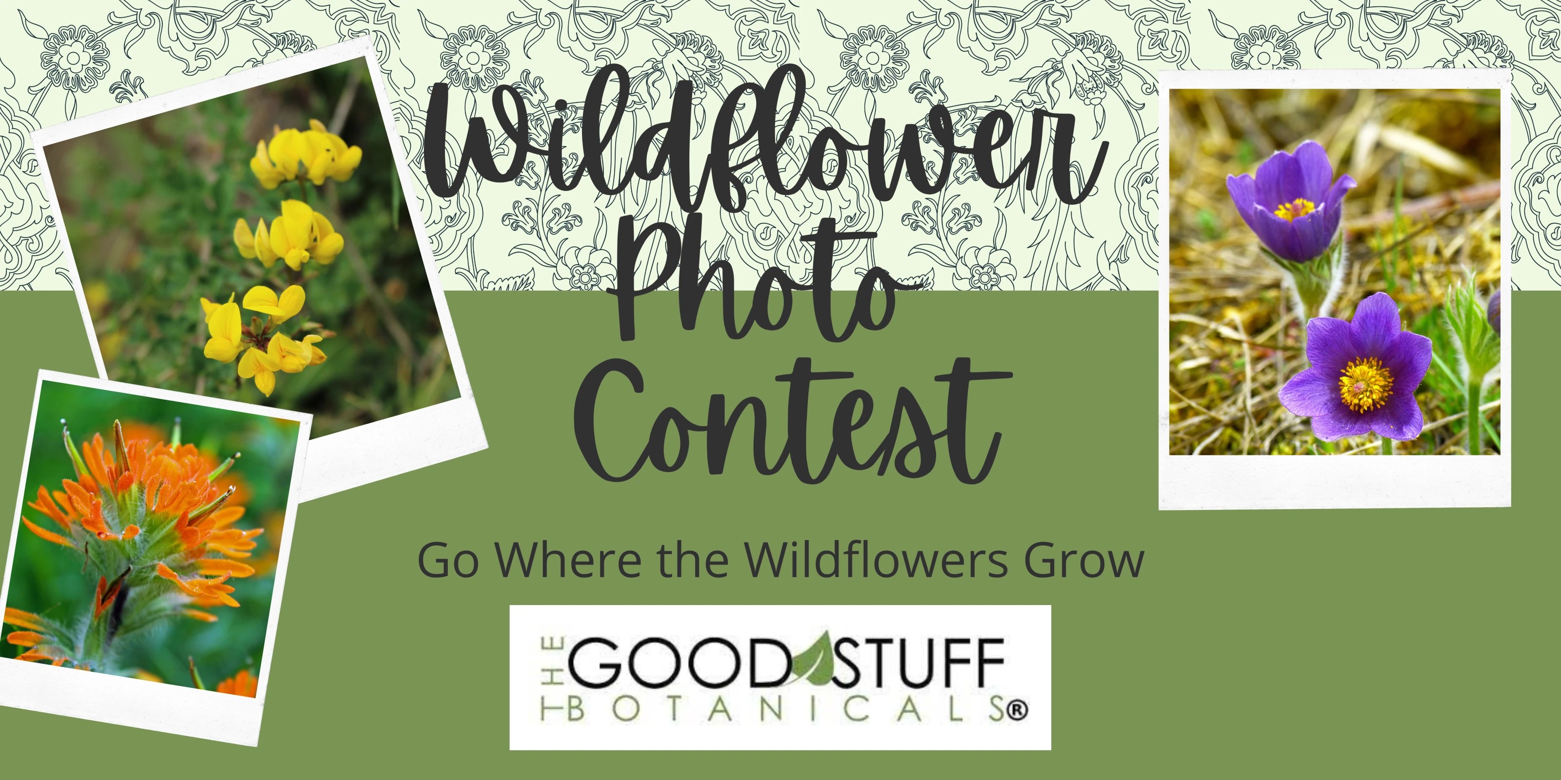 4171707?width=1200&height=630