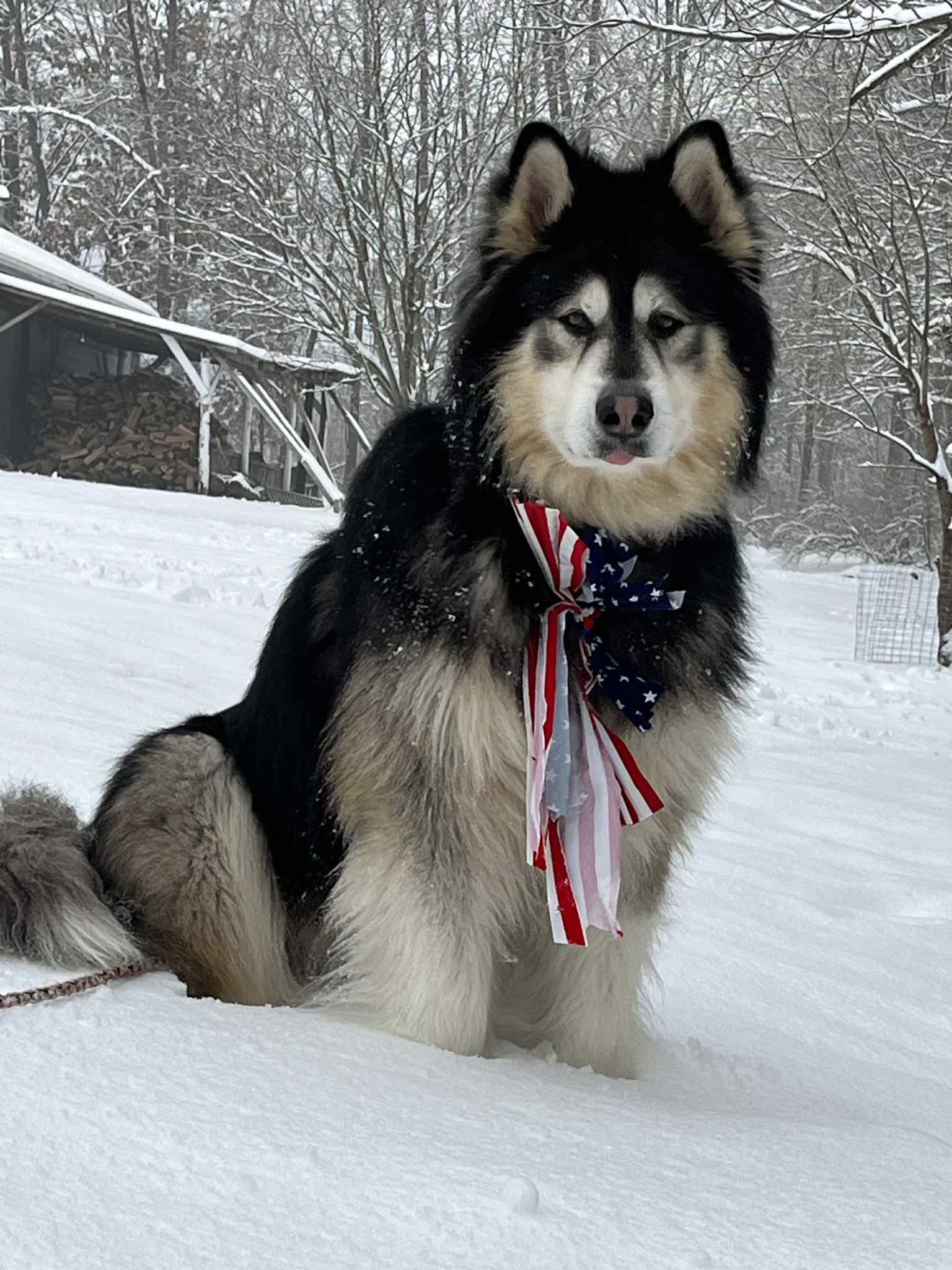 Closings & Delays WTAJ