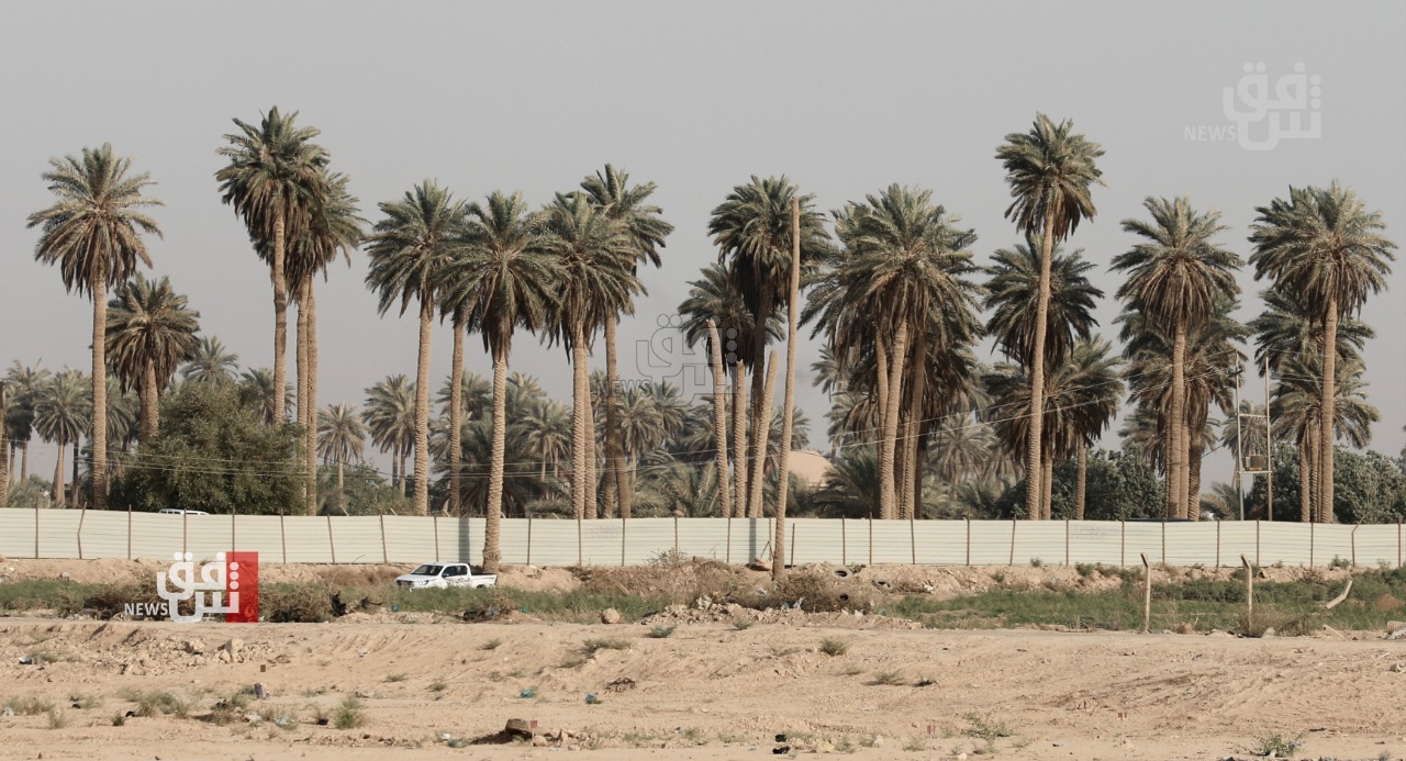 Iraq launches tree planting initiative to fight desertification and
