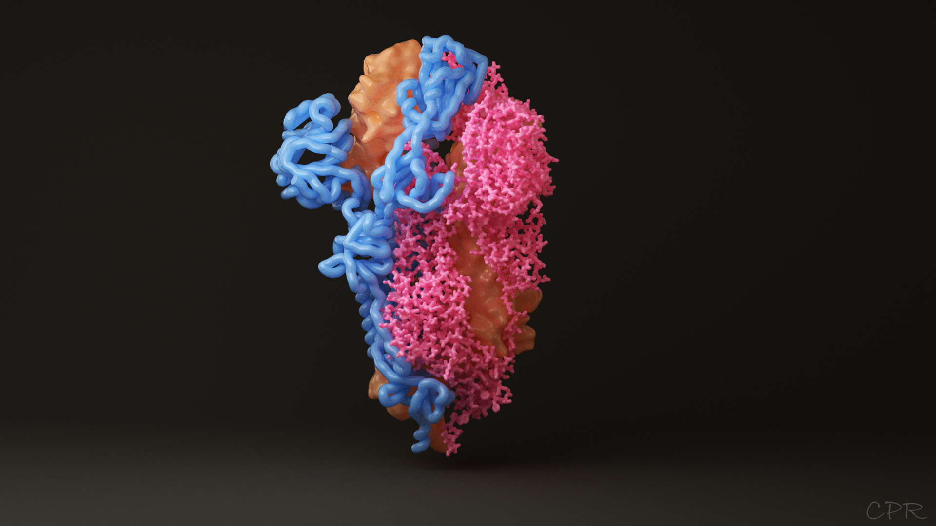 COVID19 Spike Protein Visualization SideFX