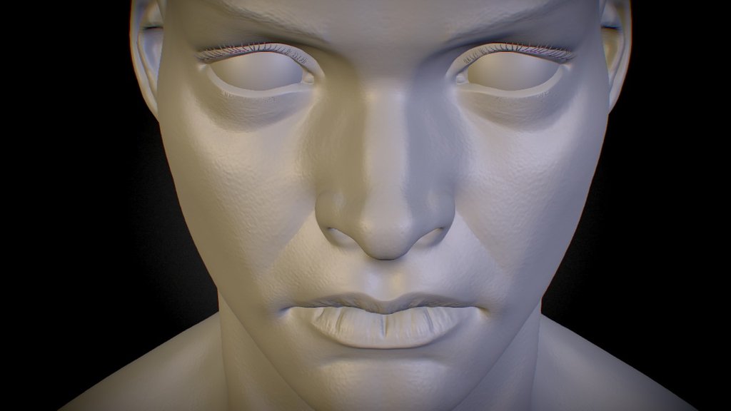 Human Head References A 3D model collection by Guilherme Freitas