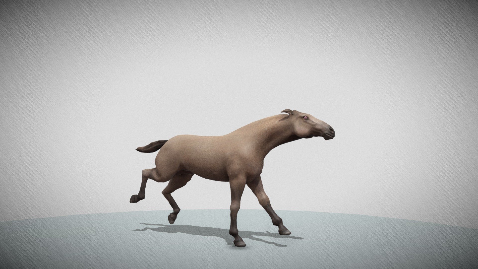 Horse Run Cycle On Place Download Free 3D model by Amitesh Nandan